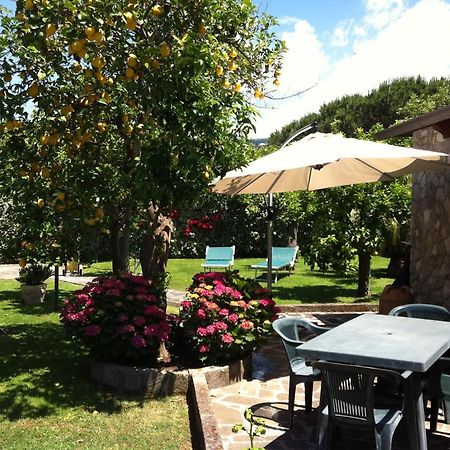 Chalet Claudia Sant'Agnello Extérieur photo